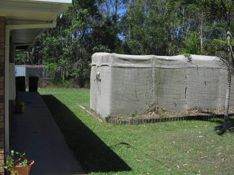 Tinana QLD 4650