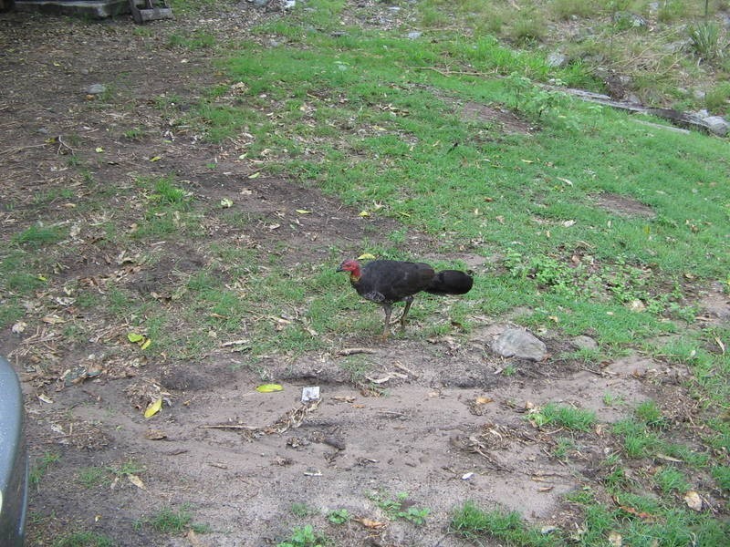 Munna Creek QLD 4570