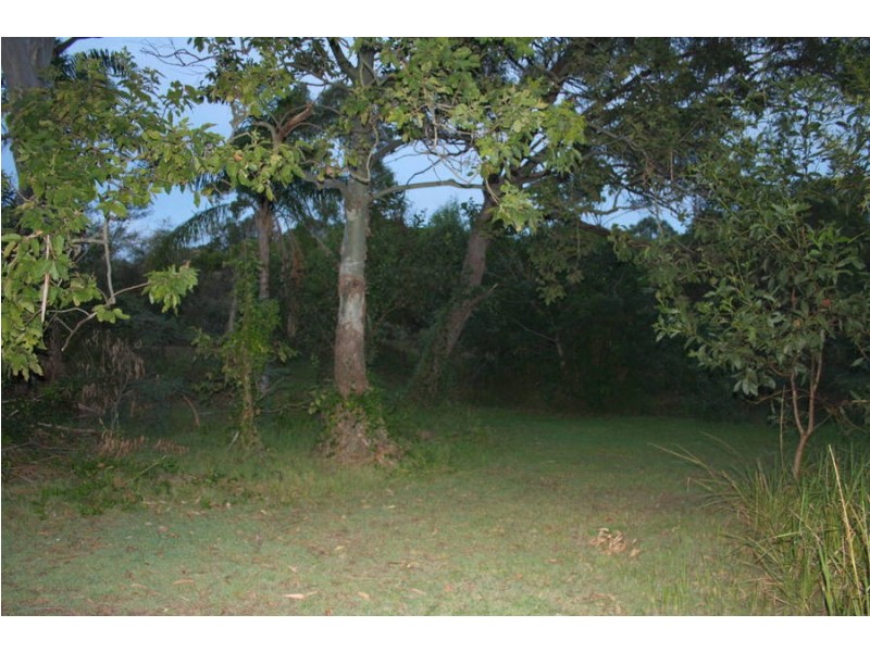 Tuan QLD 4650