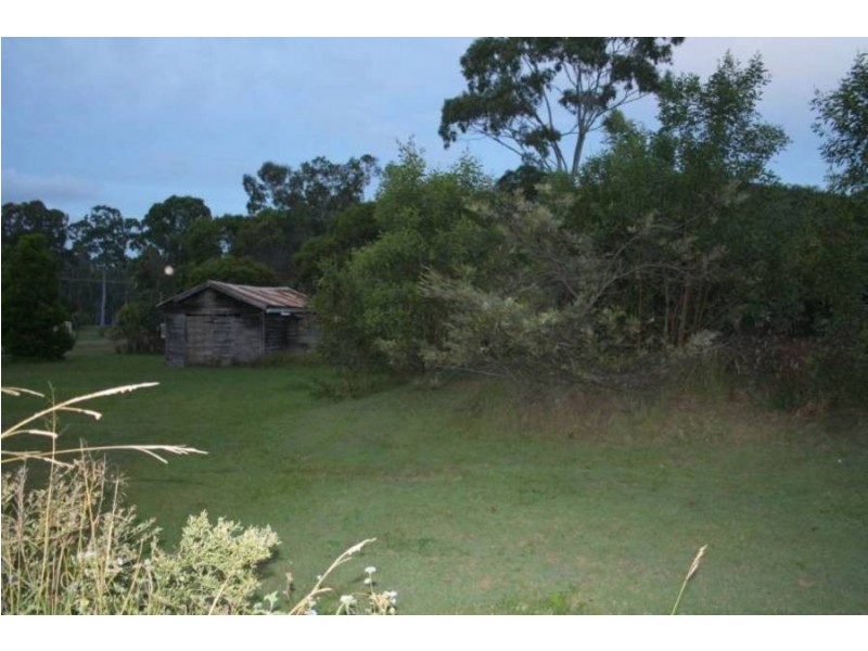 Tuan QLD 4650