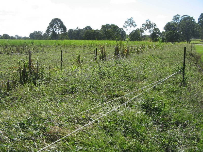 Maryborough QLD 4650