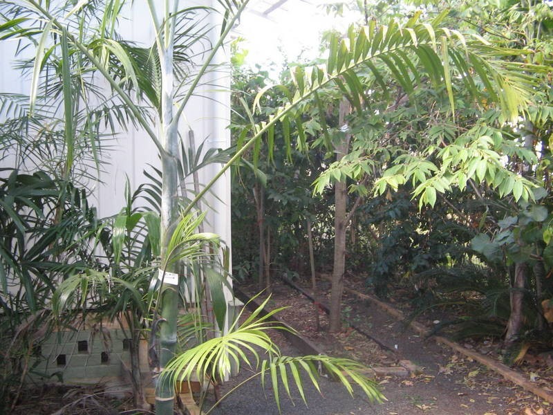 Maryborough QLD 4650