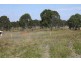 Yengarie QLD 4650