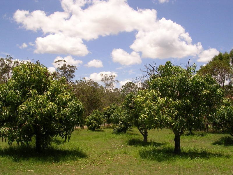 Maryborough QLD 4650