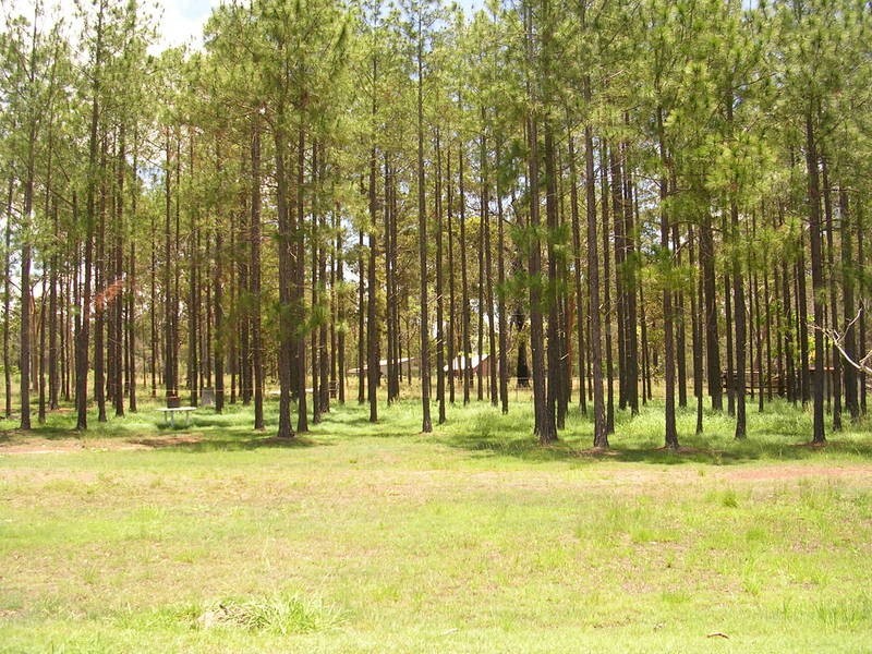 Maryborough QLD 4650