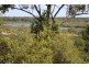 Poona QLD 4650