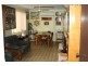 Tuan QLD 4650