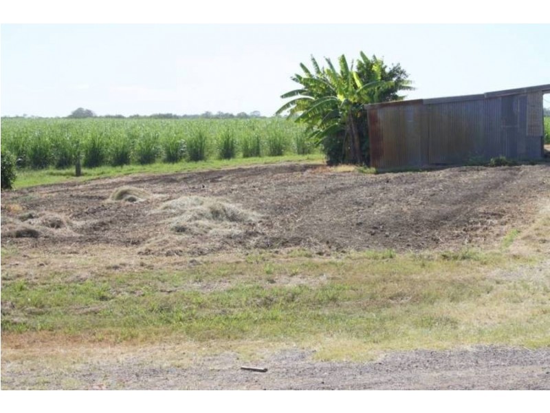 Island Plantation QLD 4650