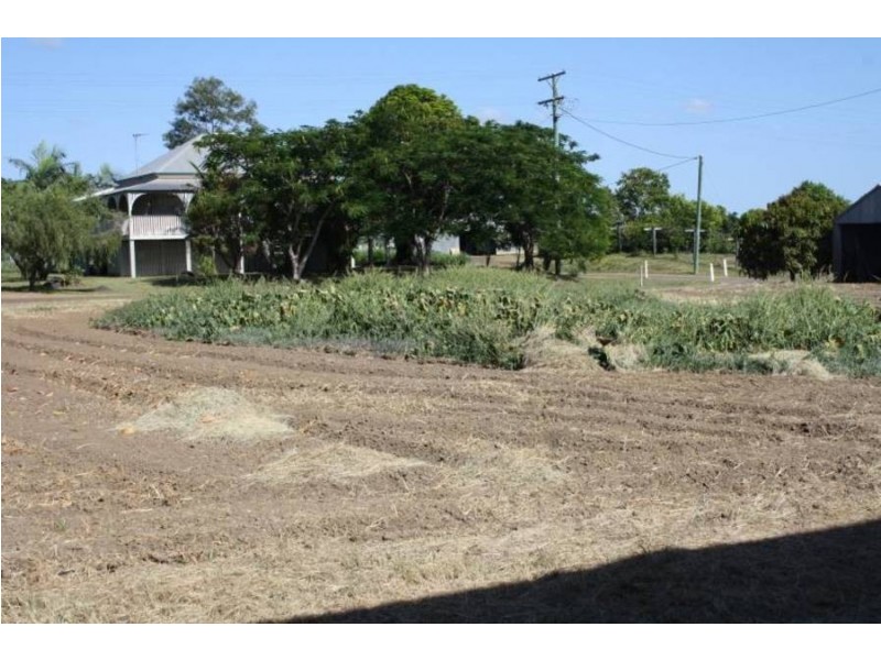 Island Plantation QLD 4650