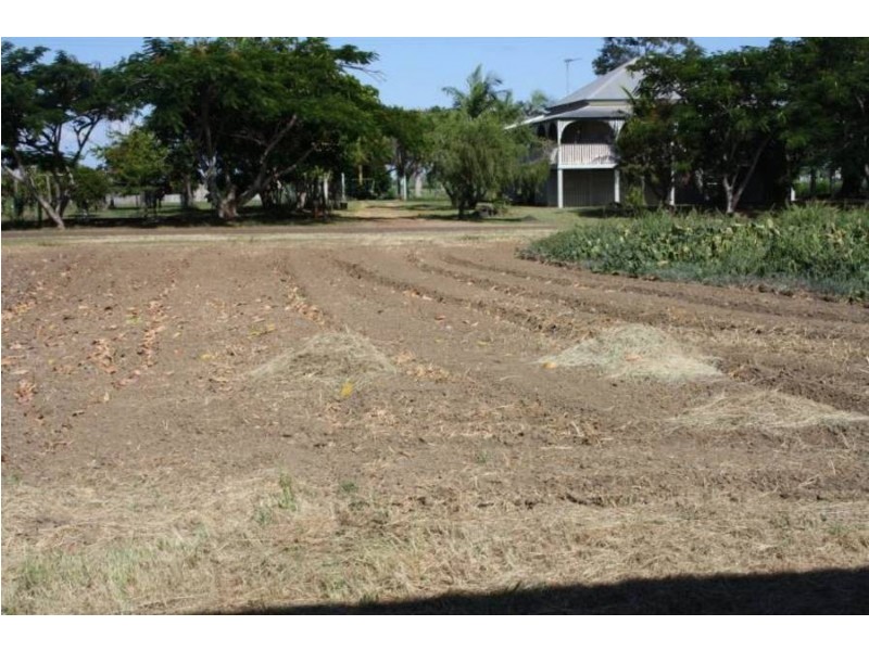 Island Plantation QLD 4650