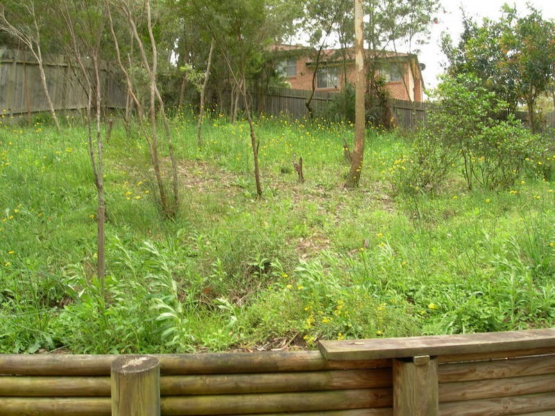 Tuggerah NSW 2259