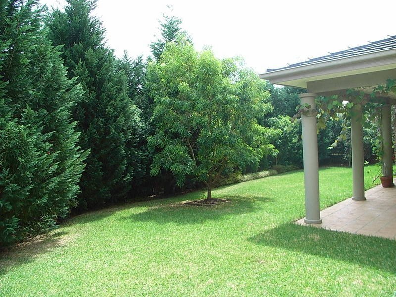 Mardi NSW 2259