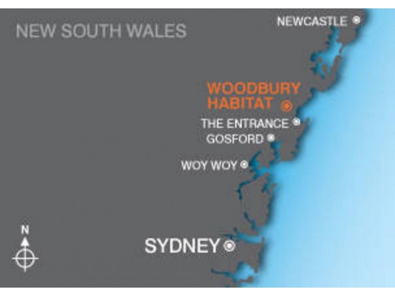 Lot 47,  Newport Terrace, Mardi NSW 2259