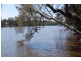 2 Kingland Close, Tacoma South NSW 2259