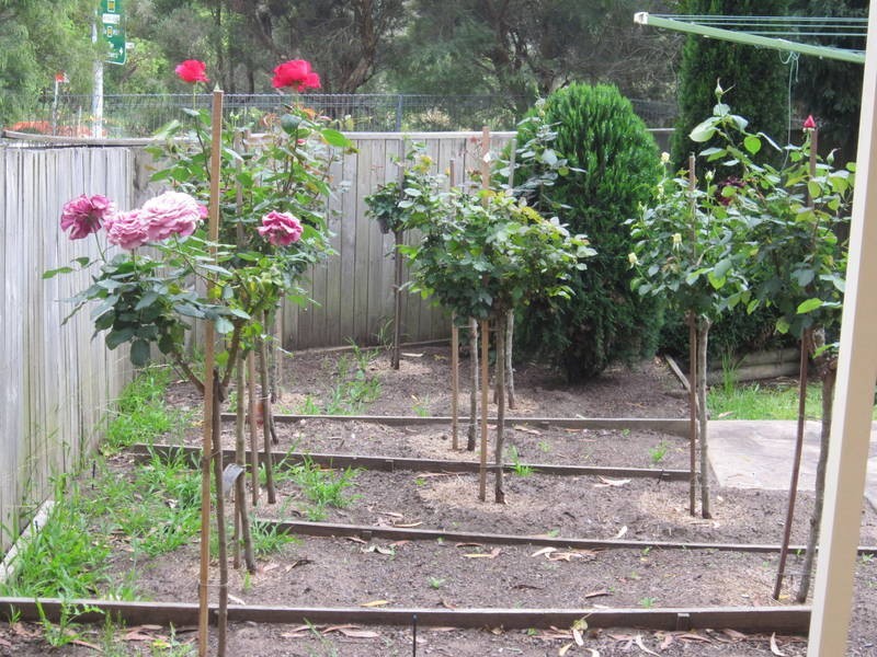 28/1 Hillview Crescent, Tuggerah NSW 2259