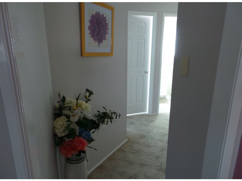 Hamlyn Terrace NSW 2259