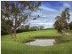 36 Phil Tunks Road, Lemon Tree NSW 2259