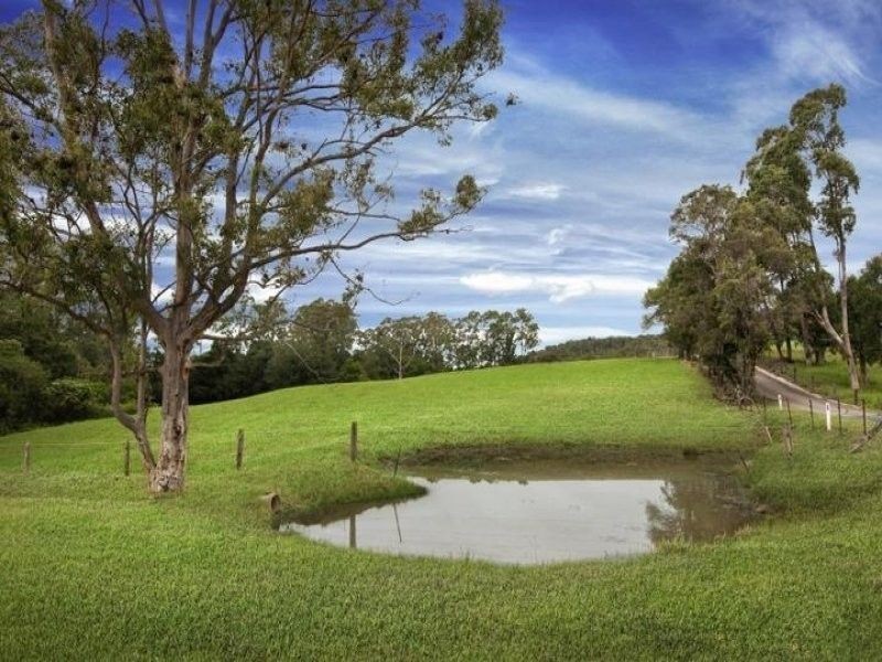 36 Phil Tunks Road, Lemon Tree NSW 2259