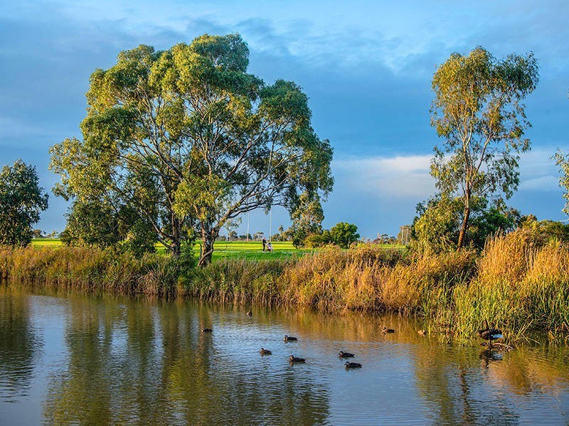 43 Henry Drive, Altona Meadows VIC 3028