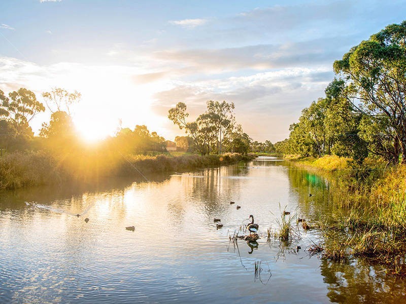 43 Henry Drive, Altona Meadows VIC 3028