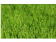 Lot 250, 15 Florentino Parade, Point Cook VIC 3030