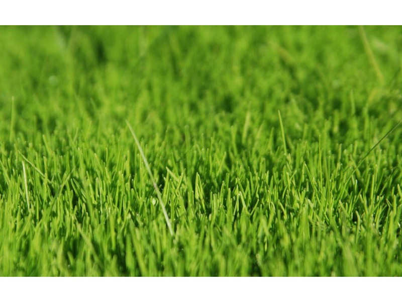 Lot 250, 15 Florentino Parade, Point Cook VIC 3030