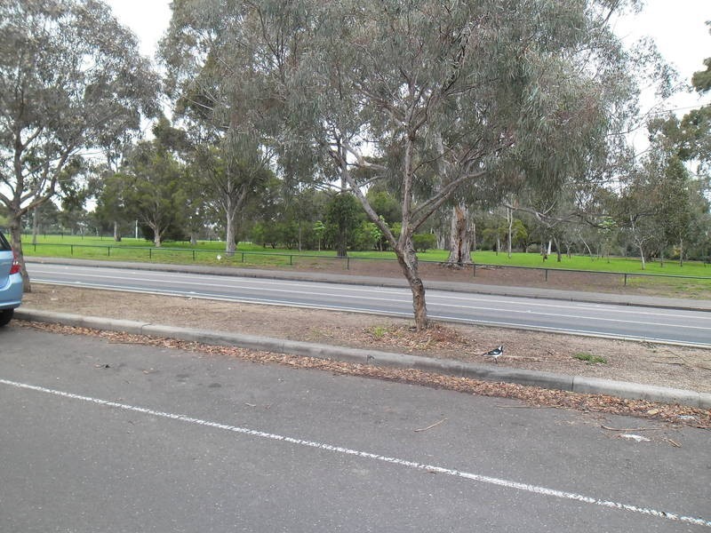 1/831 Park St, Brunswick VIC 3056