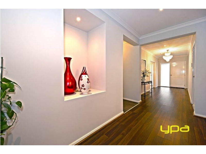 81 Tenterfield Drive, Burnside Heights VIC 3023