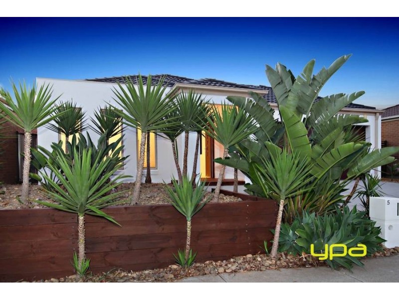 5 Yellowgum Street, Burnside Heights VIC 3023