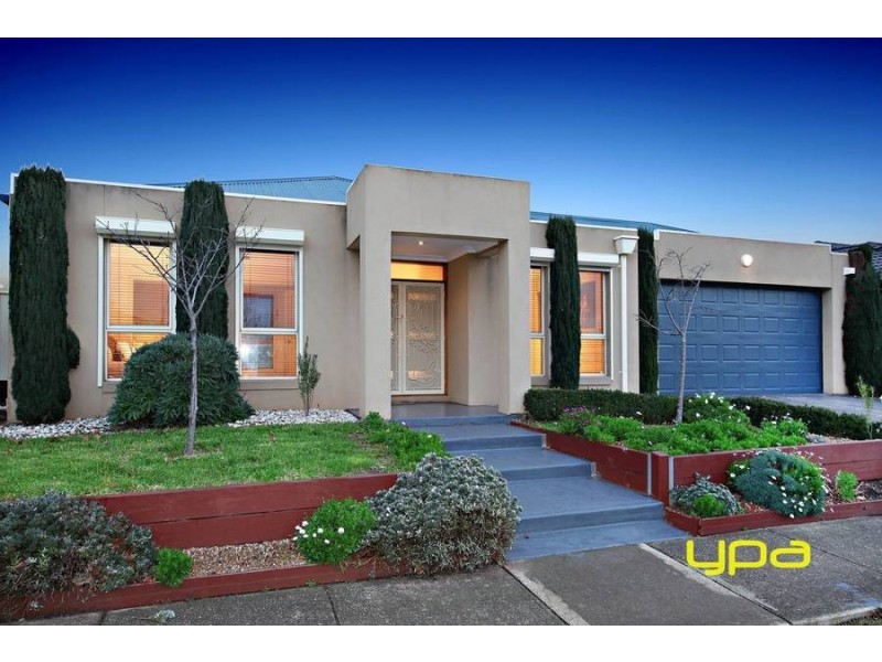 243 Westwood Drive, Burnside VIC 3023