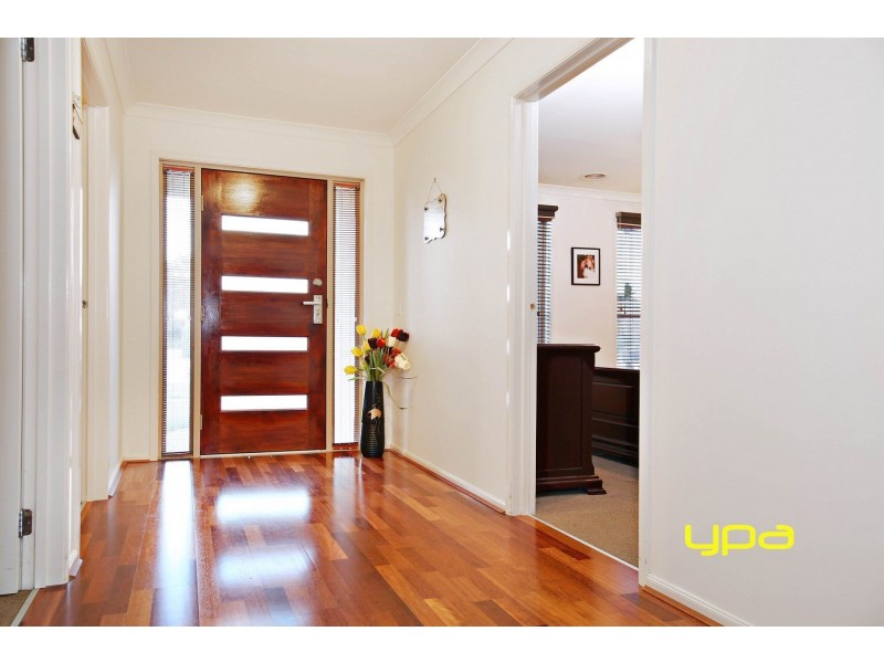 17 Wills Terrace, Burnside Heights VIC 3023