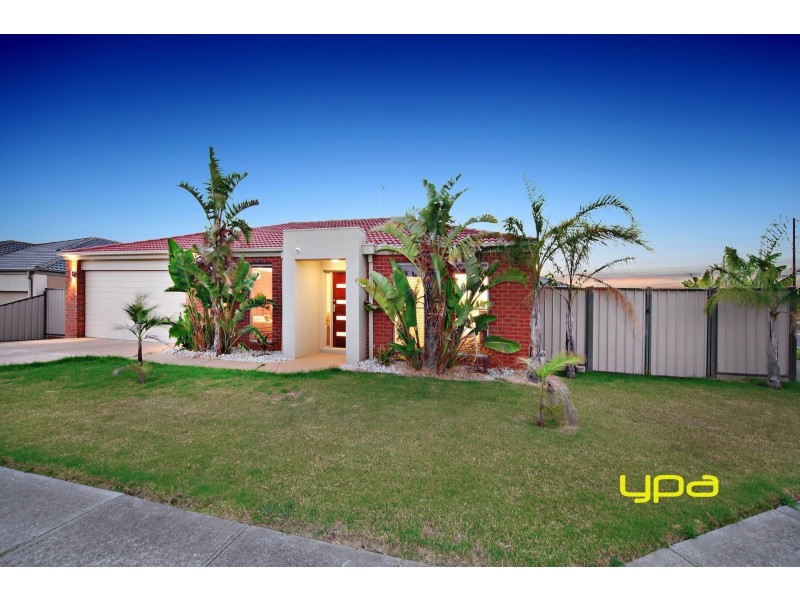 17 Wills Terrace, Burnside Heights VIC 3023