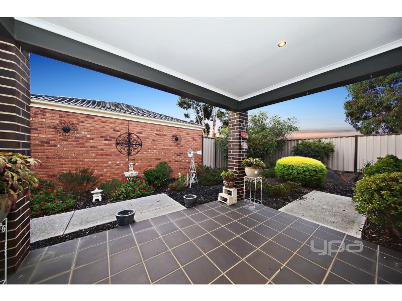 5 Wills Terrace, Burnside Heights VIC 3023