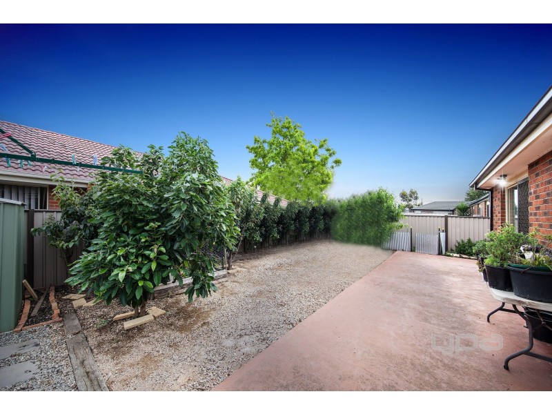 25 Wills Terrace, Burnside Heights VIC 3023