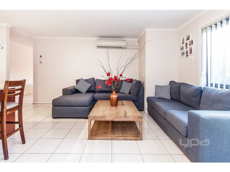 19 Domain Avenue, Burnside Heights VIC 3023