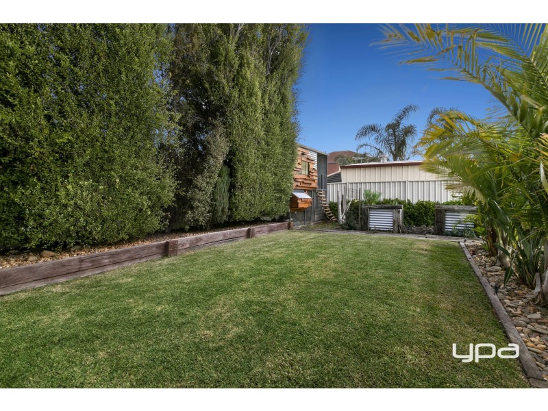 53 Jindabyne Avenue, Taylors Hill VIC 3037