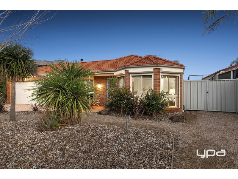 53 Jindabyne Avenue, Taylors Hill VIC 3037