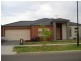 5 Fernhurst Avenue, Derrimut VIC 3030