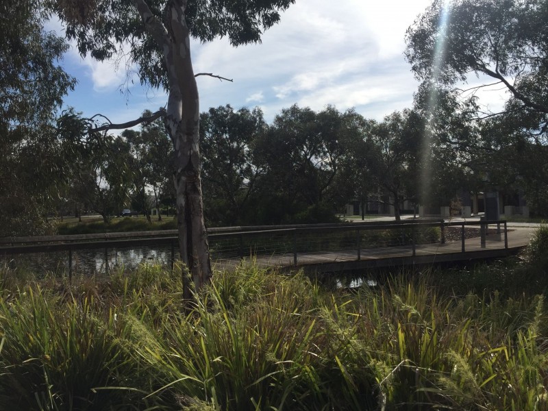 13/7 Toolondo Close, Caroline Springs VIC 3023