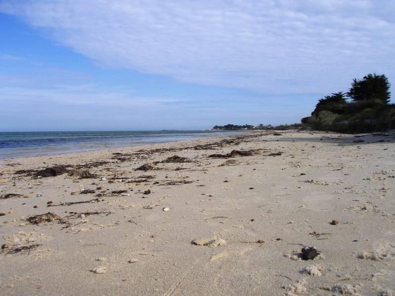 401 The Esplanade, St Leonards VIC 3223