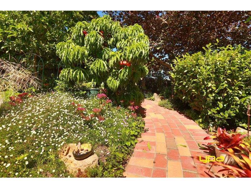 18 Glen Park Avenue, Glenroy VIC 3046