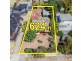 29 Kitchener Street, Broadmeadows VIC 3047