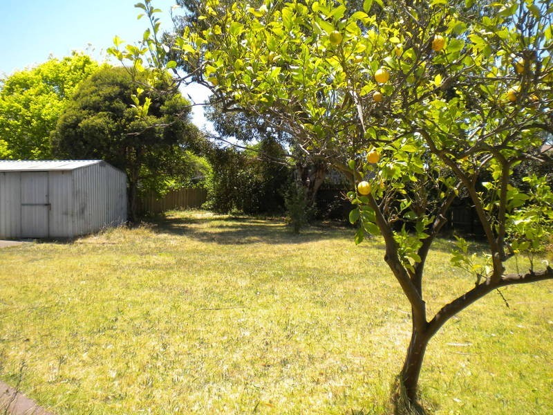8 Evans Court, Broadmeadows VIC 3047