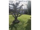 35 Apollo Cresent, Dallas VIC 3047