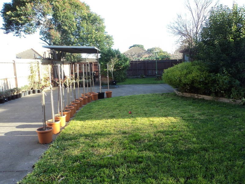 17 Peters Street, Airport West VIC 3042