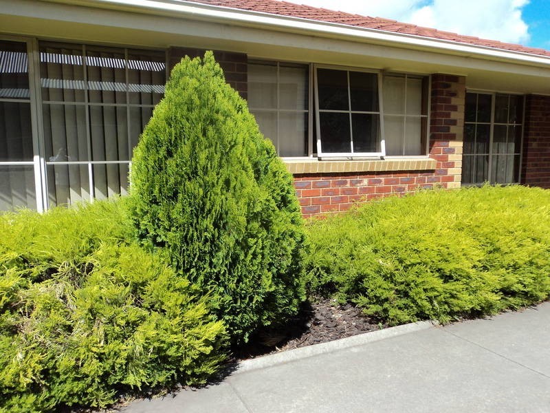 1/9 Watt St, Sunshine VIC 3020