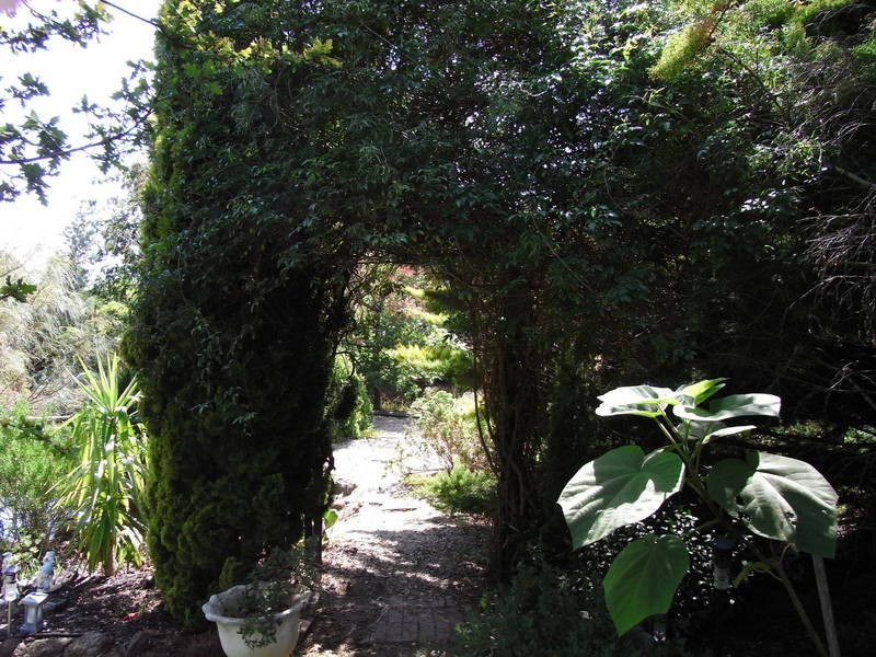 10 Kororoit Court, Melton VIC 3337