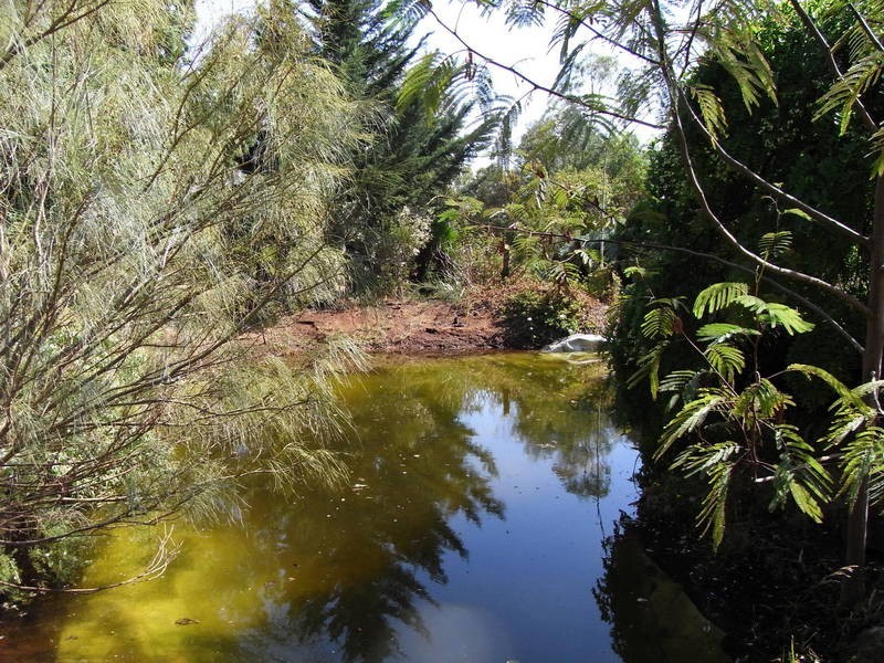 10 Kororoit Court, Melton VIC 3337