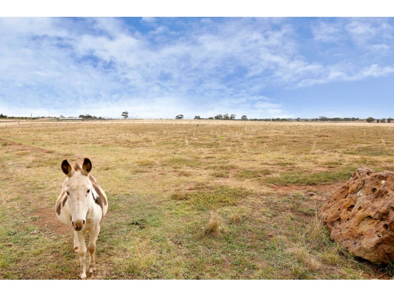 356 Brooklyn Road, Brookfield VIC 3338