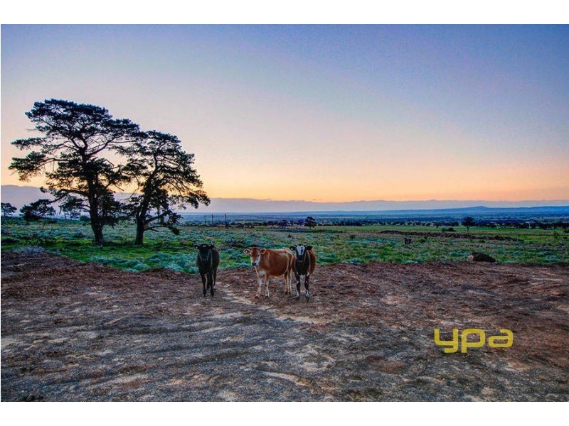 179-193 Faulkners Road, Mount Cottrell VIC 3024